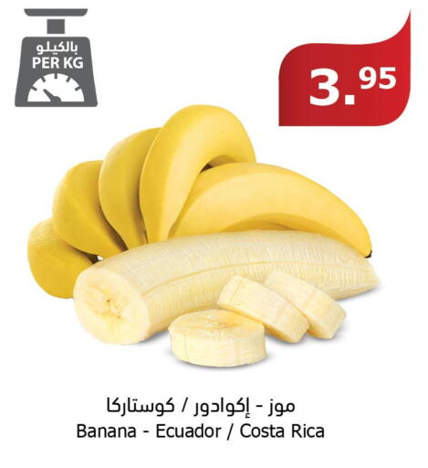  Banana  in Al Raya in KSA, Saudi Arabia, Saudi - Medina