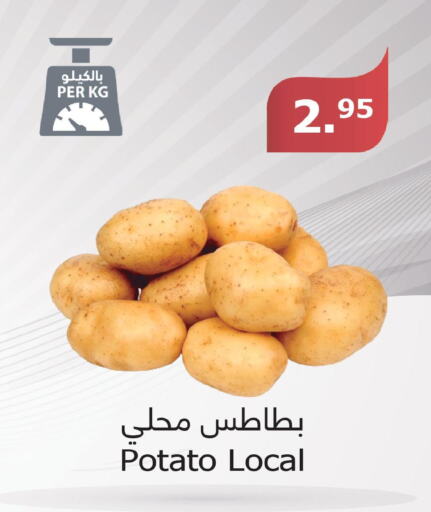  Potato  in الراية in مملكة العربية السعودية, السعودية, سعودية - نجران