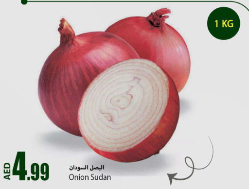  Onion  in Rawabi Market Ajman in UAE - Sharjah / Ajman