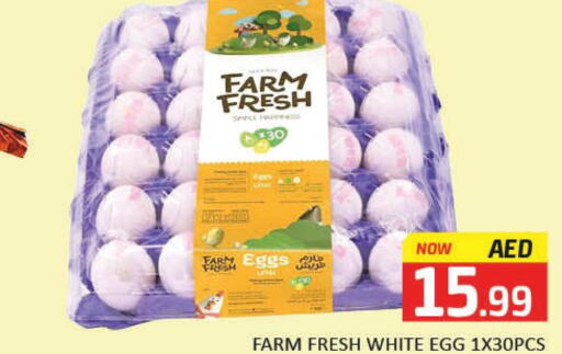 FARM FRESH   in Mango Hypermarket LLC in UAE - Dubai
