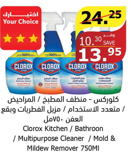CLOROX Toilet / Drain Cleaner  in الراية in مملكة العربية السعودية, السعودية, سعودية - المدينة المنورة