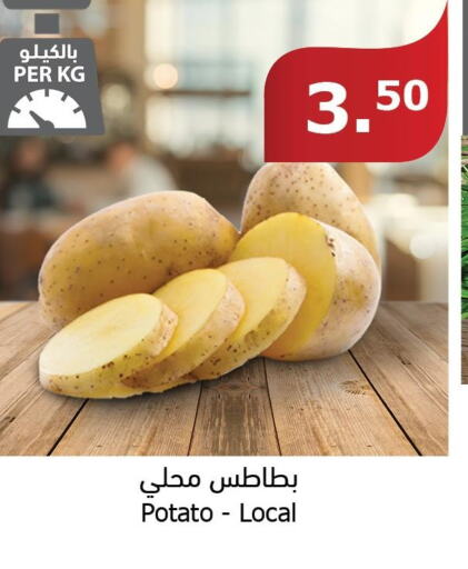  Potato  in الراية in مملكة العربية السعودية, السعودية, سعودية - ينبع