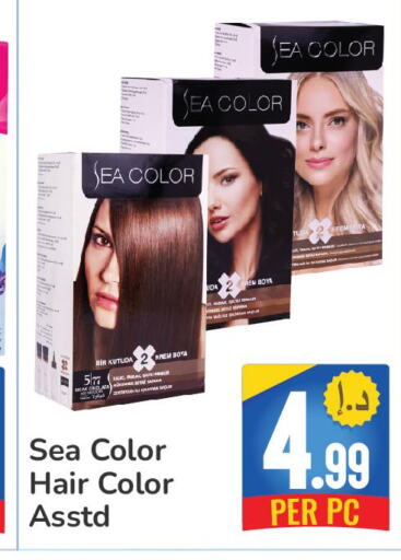  Hair Colour  in Day to Day Department Store in UAE - Dubai