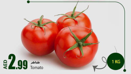  Tomato  in Rawabi Market Ajman in UAE - Sharjah / Ajman
