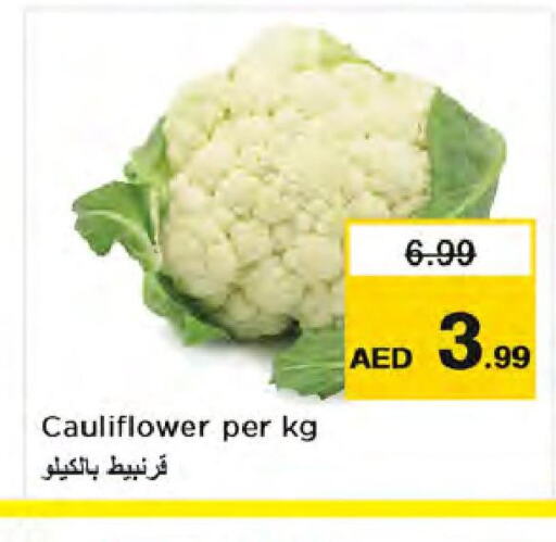  Cauliflower  in نستو هايبرماركت in الإمارات العربية المتحدة , الامارات - الشارقة / عجمان
