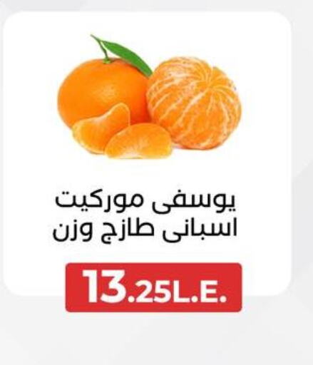  Orange  in Arafa Market in Egypt - Cairo