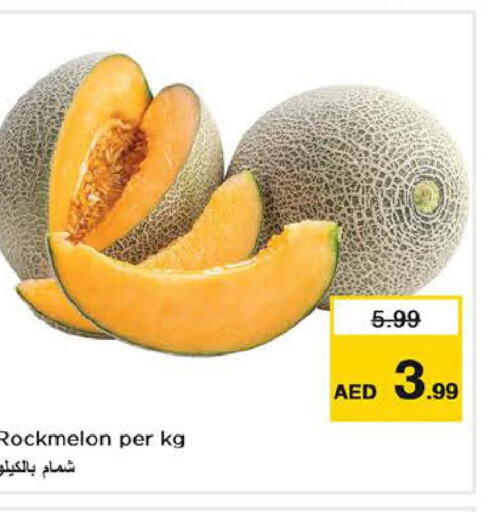  Sweet melon  in لاست تشانس in الإمارات العربية المتحدة , الامارات - الشارقة / عجمان