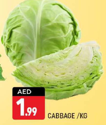  Cabbage  in شكلان ماركت in الإمارات العربية المتحدة , الامارات - دبي