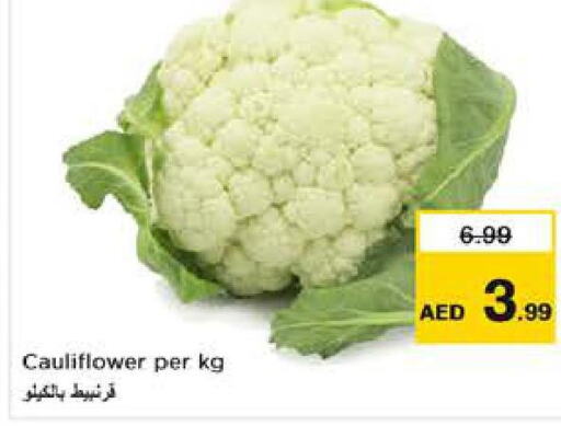  Cauliflower  in نستو هايبرماركت in الإمارات العربية المتحدة , الامارات - أبو ظبي