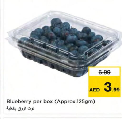  Berries  in نستو هايبرماركت in الإمارات العربية المتحدة , الامارات - دبي