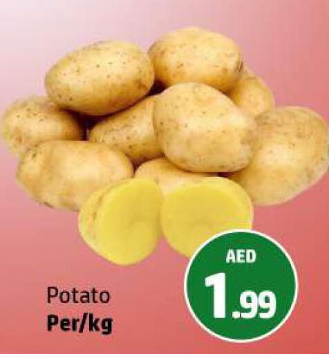  Potato  in الحوت  in الإمارات العربية المتحدة , الامارات - رَأْس ٱلْخَيْمَة