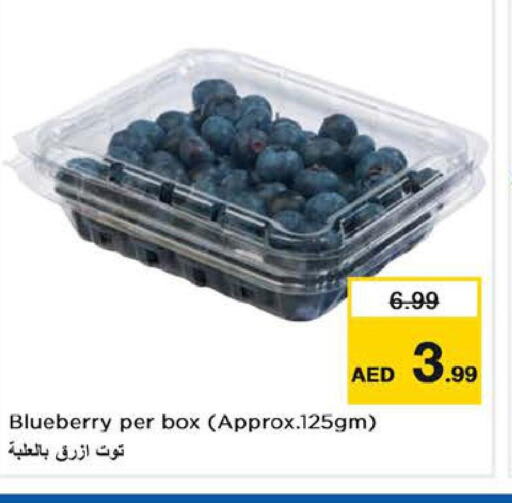  Berries  in لاست تشانس in الإمارات العربية المتحدة , الامارات - الشارقة / عجمان