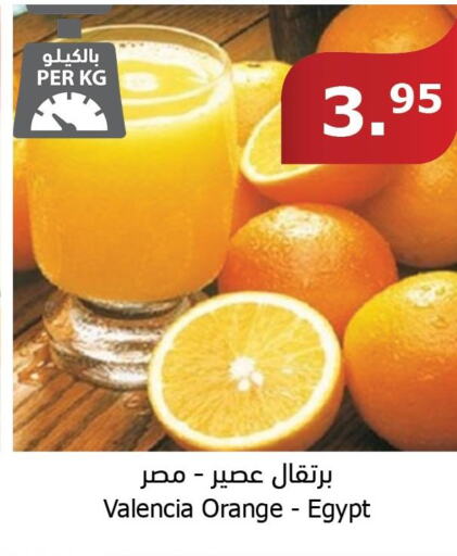  Orange  in Al Raya in KSA, Saudi Arabia, Saudi - Tabuk