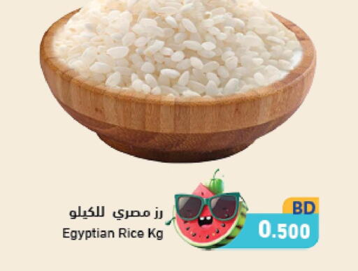  Egyptian / Calrose Rice  in Ramez in Bahrain
