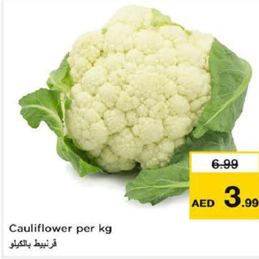  Cauliflower  in لاست تشانس in الإمارات العربية المتحدة , الامارات - ٱلْفُجَيْرَة‎