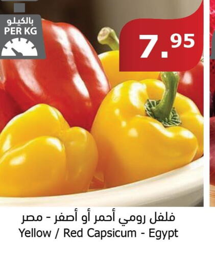  Chilli / Capsicum  in الراية in مملكة العربية السعودية, السعودية, سعودية - الطائف
