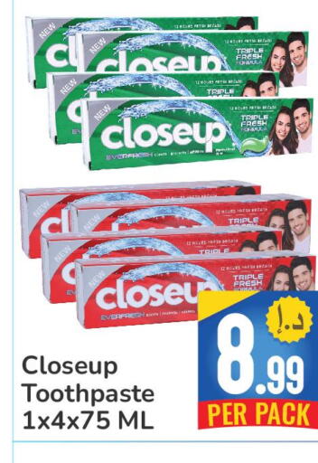 CLOSE UP Toothpaste  in Day to Day Department Store in UAE - Dubai