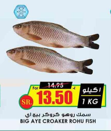  King Fish  in أسواق النخبة in مملكة العربية السعودية, السعودية, سعودية - الأحساء‎