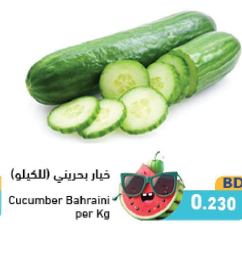  Cucumber  in رامــز in البحرين
