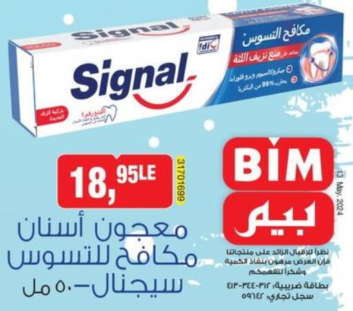 SIGNAL Toothpaste  in BIM Market  in Egypt - Cairo