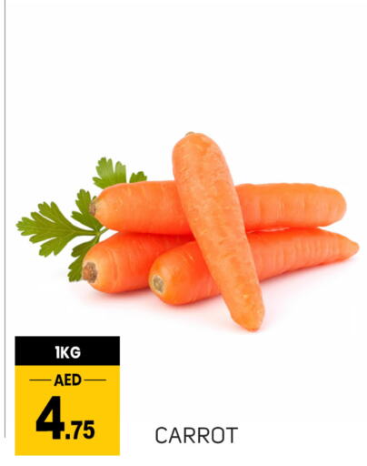  Carrot  in سوق طلال in الإمارات العربية المتحدة , الامارات - دبي