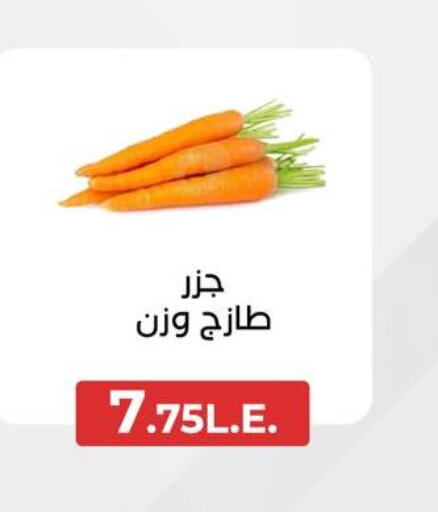  Carrot  in عرفة ماركت in Egypt - القاهرة