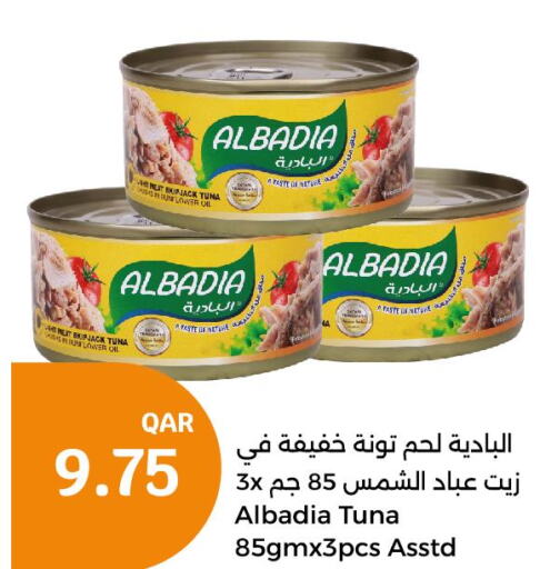  Tuna - Canned  in سيتي هايبرماركت in قطر - الضعاين