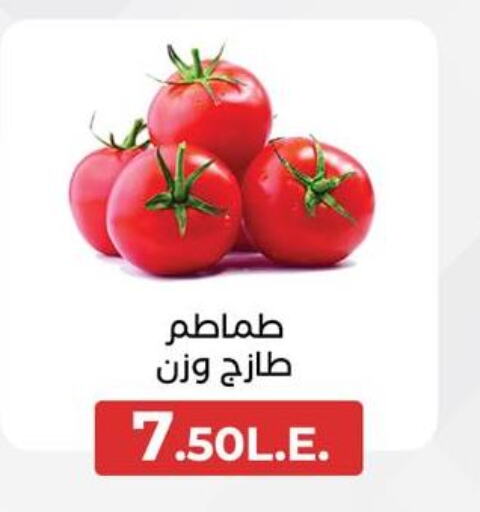  Tomato  in عرفة ماركت in Egypt - القاهرة