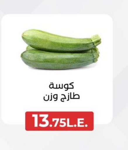  Zucchini  in عرفة ماركت in Egypt - القاهرة