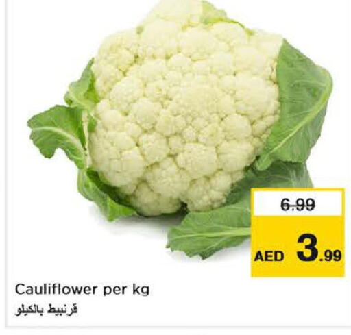  Cauliflower  in لاست تشانس in الإمارات العربية المتحدة , الامارات - الشارقة / عجمان