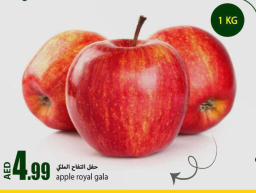  Apples  in Rawabi Market Ajman in UAE - Sharjah / Ajman