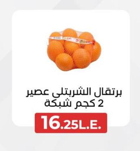  Orange  in Arafa Market in Egypt - Cairo