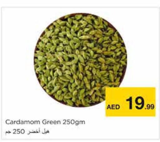  Dried Herbs  in نستو هايبرماركت in الإمارات العربية المتحدة , الامارات - الشارقة / عجمان