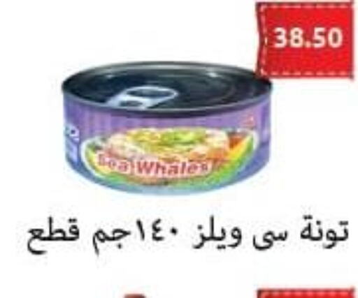  Tuna - Canned  in الهواري in Egypt - القاهرة