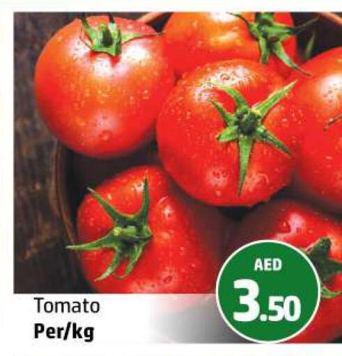  Tomato  in الحوت  in الإمارات العربية المتحدة , الامارات - رَأْس ٱلْخَيْمَة