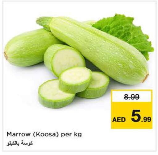  Zucchini  in لاست تشانس in الإمارات العربية المتحدة , الامارات - الشارقة / عجمان
