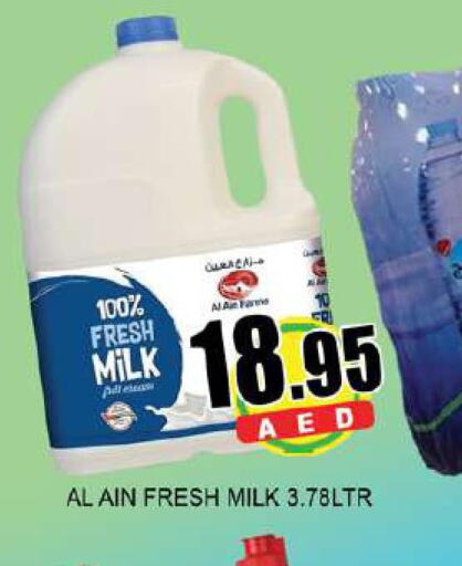 AL AIN Fresh Milk  in لكي سنتر in الإمارات العربية المتحدة , الامارات - الشارقة / عجمان