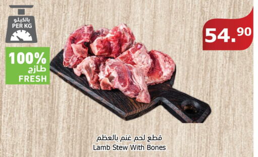  Mutton / Lamb  in الراية in مملكة العربية السعودية, السعودية, سعودية - جدة