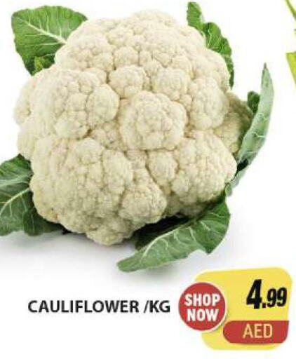  Cauliflower  in Al Madina  in UAE - Dubai