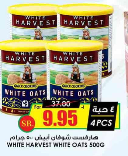  Oats  in Prime Supermarket in KSA, Saudi Arabia, Saudi - Hail