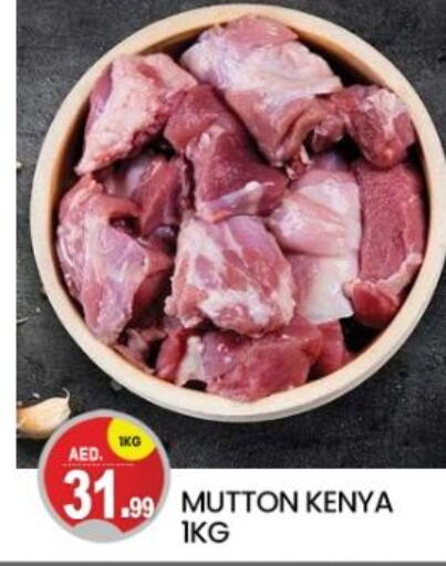  Mutton / Lamb  in سوق طلال in الإمارات العربية المتحدة , الامارات - دبي