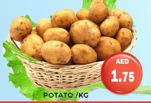  Potato  in هايبر ماركت مينا المدينة in الإمارات العربية المتحدة , الامارات - الشارقة / عجمان