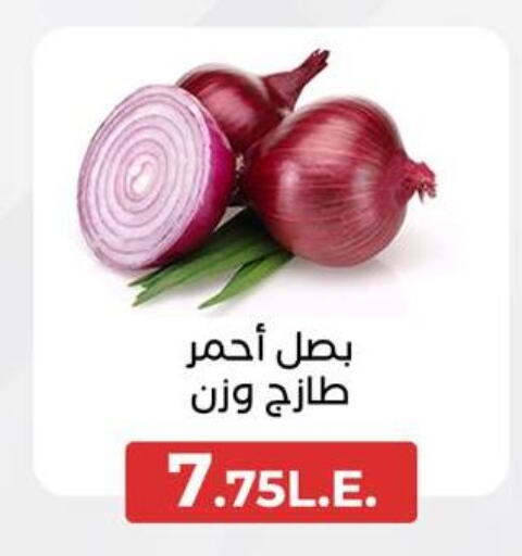  Onion  in عرفة ماركت in Egypt - القاهرة