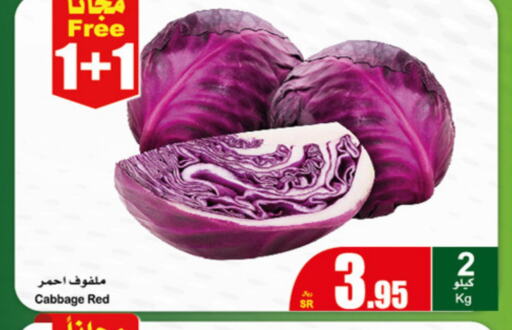  Cabbage  in أسواق عبد الله العثيم in مملكة العربية السعودية, السعودية, سعودية - مكة المكرمة
