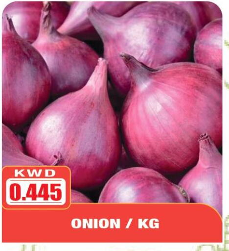  Onion  in أوليف هايبر ماركت in الكويت - محافظة الأحمدي