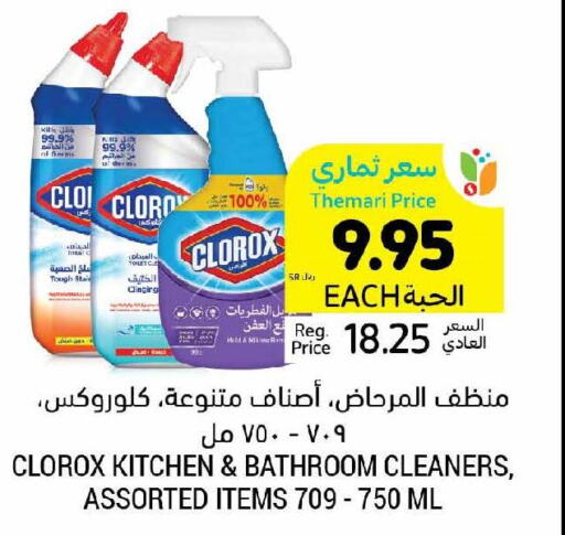 CLOROX Toilet / Drain Cleaner  in Tamimi Market in KSA, Saudi Arabia, Saudi - Buraidah