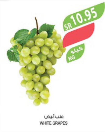  Grapes  in المزرعة in مملكة العربية السعودية, السعودية, سعودية - أبها