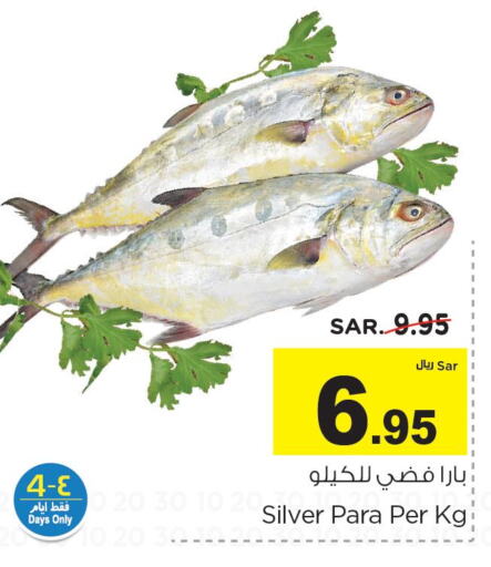  Tuna  in Nesto in KSA, Saudi Arabia, Saudi - Al-Kharj