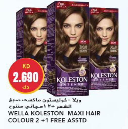 KOLLESTON Hair Colour  in جراند هايبر in الكويت - محافظة الأحمدي