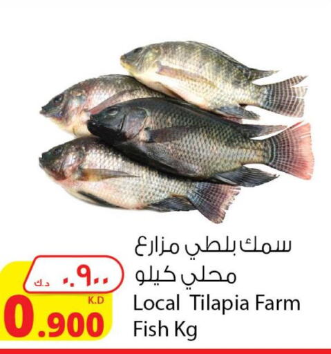 in شركة المنتجات الزراعية الغذائية in الكويت - محافظة الجهراء